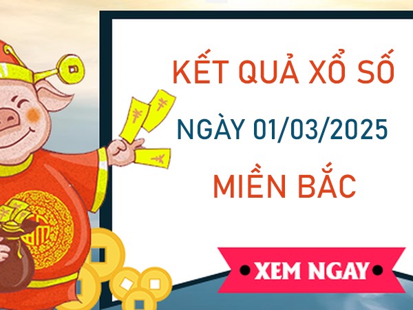 Thống kê KQXS Miền Bắc 1/3/2025 lô kép chuẩn miền Bắc